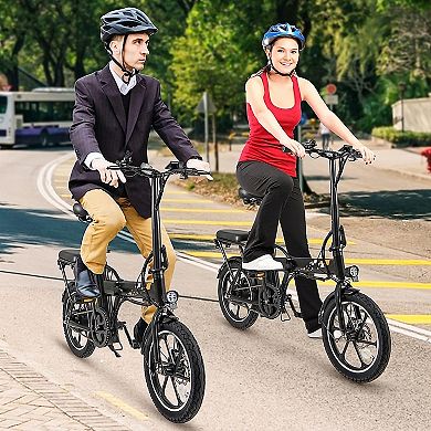 Folding Electric Bike 500W Motor Dual Disc Brakes LCD Display