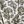 Woodland Toile Green