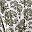 Woodland Toile Green