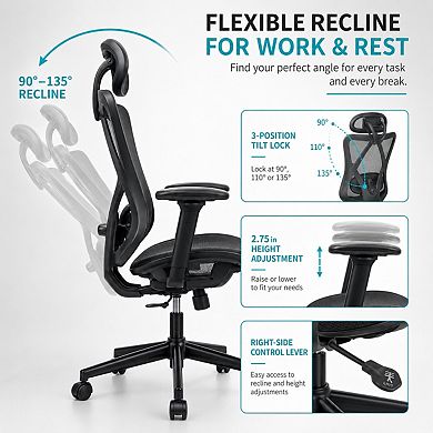 Heybly Ergonomic Mesh Office Chair with Adjustable Lumbar Support, Headrest, Armrests and Tilt Lock