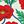 Poppy Field Print