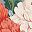 Coral Peony Grey