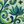 Blue And Green