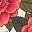 Red Floral