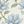 Cream Blue Floral