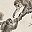 Beige Monkey Print