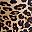 Leopard Print No Wait