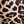 Leopard Tan Black