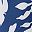Blue White