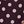 Brown Pink