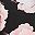 Black Pink