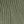 Light Army Green
