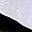 White Black