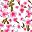 Pink Floral