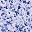 Purple Polka Dots