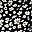Black Flower