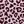 Pink Leopard