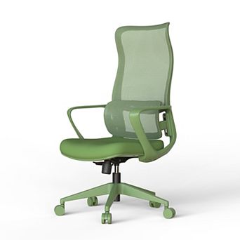 High Back Ergonomic Office Chair, Colorful Mesh Computer Chair Lumbar Support & Arms