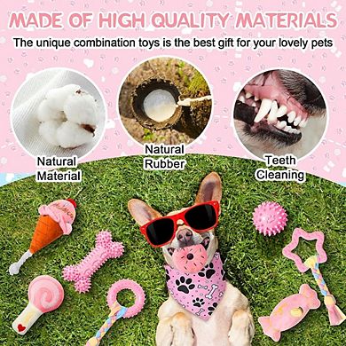 Puppy Teething Toy Set, Soft Rubber Chew & Rope Toys