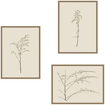 Delicate Botanical Sketch Warm 3 pc Framed Canvas Wall Art Set by Stephanie Klatt