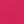 Fuchsia Ivory