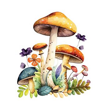 Mushroom All-In-One Watercolor Kit