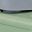 Green C