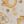 Cat Pattern