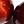 Red Tigers Eye