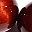 Red Tigers Eye