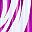 Blue Purple