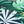 Light Green Dark Green