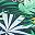 Light Green Dark Green