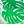 Tropic Green And Blue