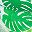 Tropic Green And Blue