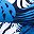 Blue Leaves