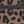 Brown Leopard