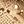 Beige Brown