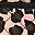 Brown Leopard Print