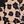 Leopard Khaki Plaid