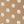 Polka Dot Brown