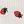 Beige Strawberry