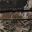 Forest Camo