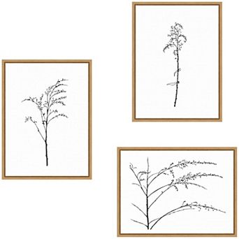 Delicate Botanical Sketch 3 pc Framed Canvas Wall Art Set by Stephanie Klatt