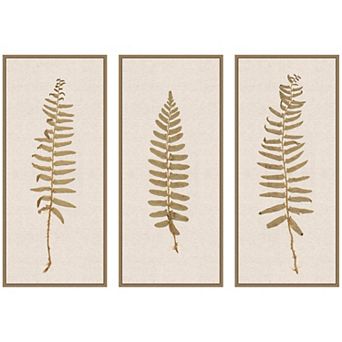 Plant Studies 3 Framed Canvas Wall Art Set by The Smithsonian American Art Museum