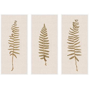 Plant Studies 3 Framed Canvas Wall Art Set by The Smithsonian American Art Museum