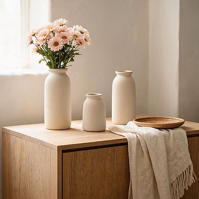 Beige Distressed Bohemian Ceramic Vase Set of 3 for Dried Flowers