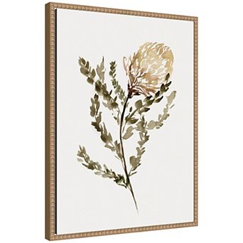 Wild Banksia by Sara Berrenson Framed Canvas Wall Art Print
