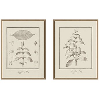 Coffea Arabica 2 pc Framed Canvas Wall Art Set by Nostalgia Prints