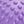 Lilac Purple